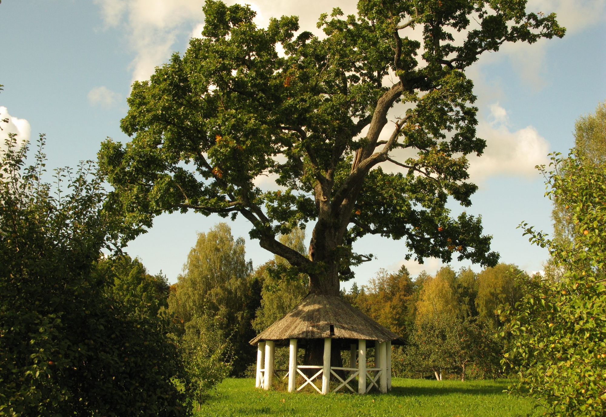 Музей-усадьба  "Тригорское"