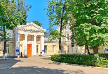 Девичьим полем в Новодевичью обитель. Москва