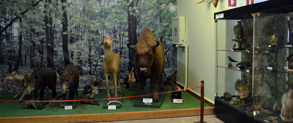 Губкинский краеведческий музей.