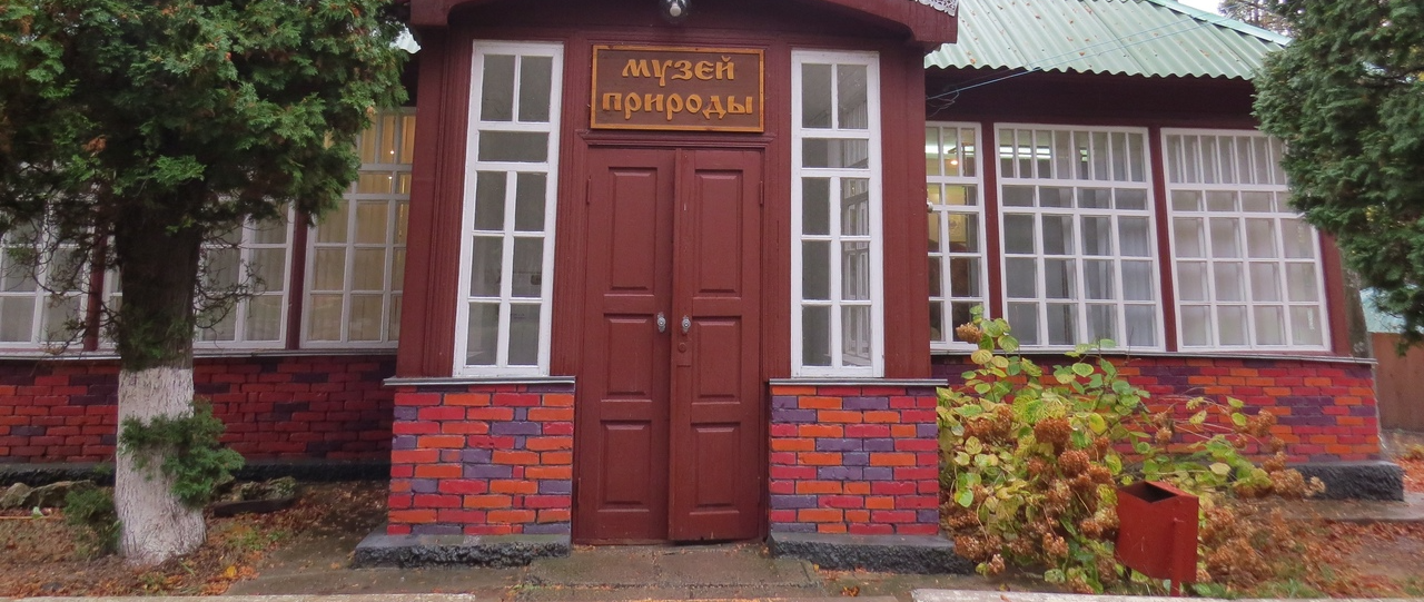 Музей природы.