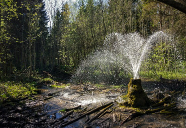 Чудеса Ленинградской области: высоты, пещеры, гейзеры и водопады. Санкт-Петербург - Красное Село - Ульяновка