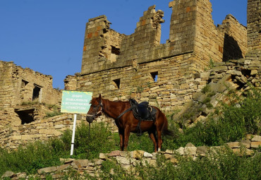 В сердце гор. Грозный - Макажой - с. Ирганай - Хунзах - Матлас - Чох - Гамсутль - Карадах - Гоор - Дербент - с. Кубачи - Махачкала.