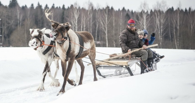 Новый год в Сергиевом Посаде – «Посадский 3*» (на автобусе). Москва - Сергиев Посад - Хотьково.