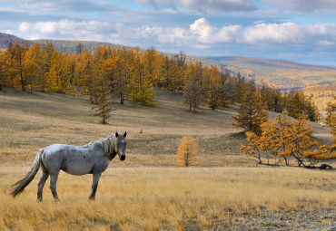 Бархатная осень на Байкале. Иркутск - Хужир.