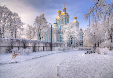 Встреча Нового года в Северной столице. Санкт-Петербург - Пушкин.