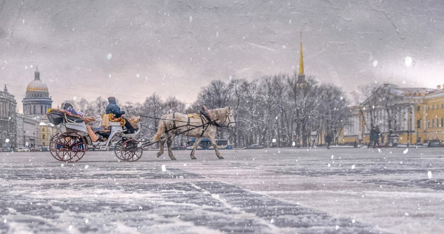 Новогодняя мозаика. Санкт-Петербург - Пушкин - Петергоф.