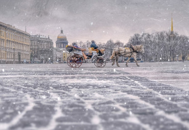 Зимние дворцы Санкт-Петербурга. Пушкин - Петергоф.