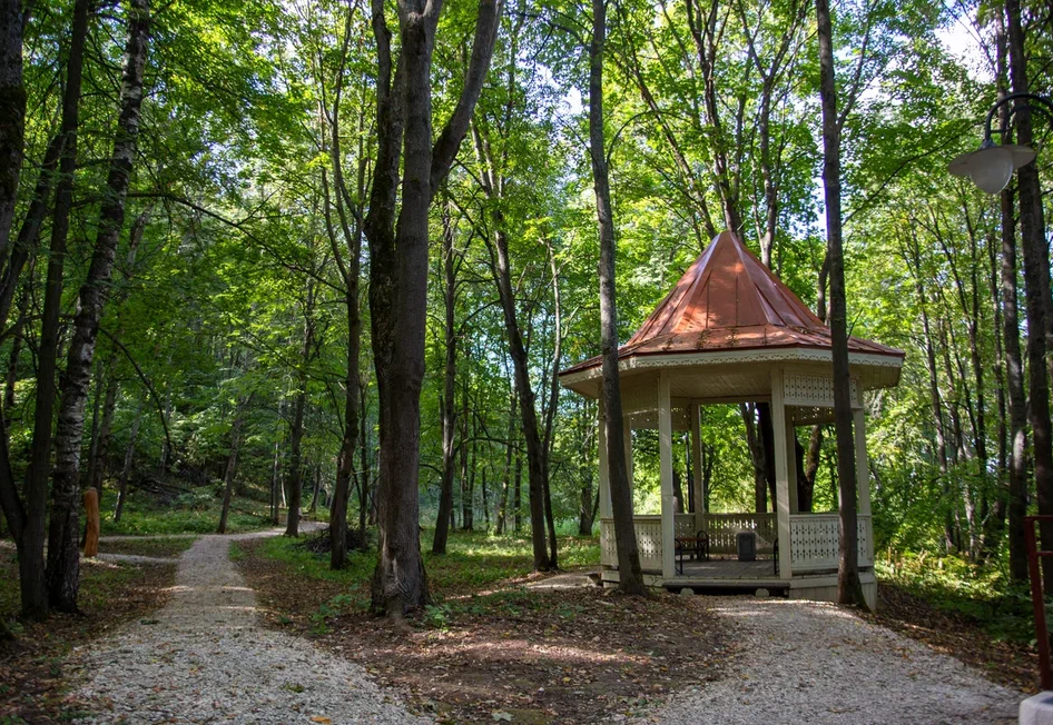 Городской парк культуры и отдыха (Роща).