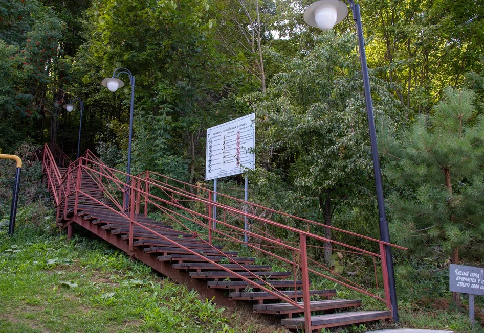 Городской парк культуры и отдыха (Роща).