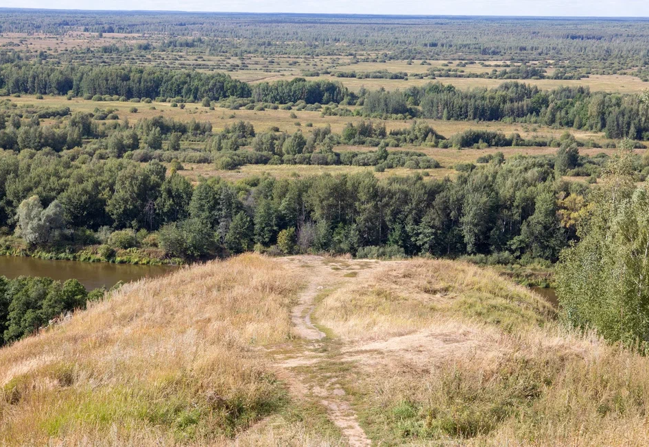 Лысая гора.