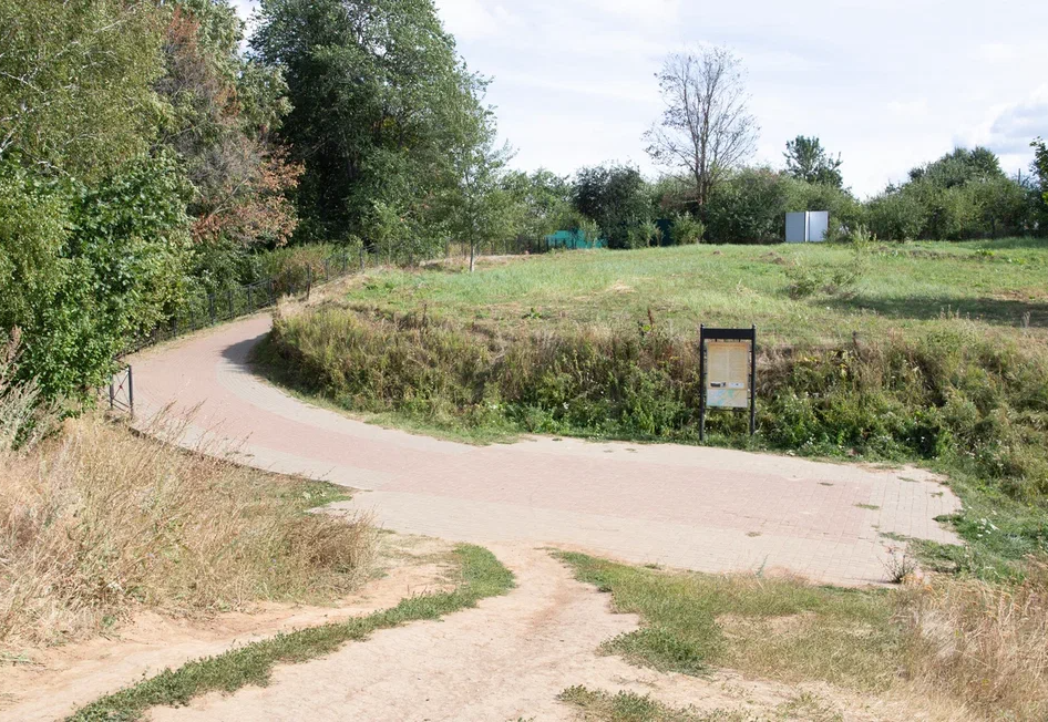 Лысая гора.