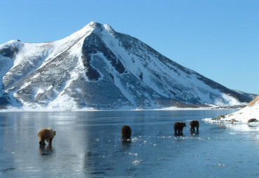 Зима (на Камчатку). Петропавловск-Камчатский - Паратунка.