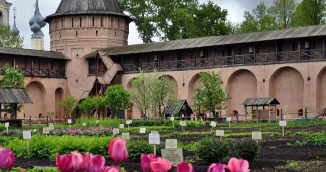 Аптекарский город Спасо-Евфимиева монастыря