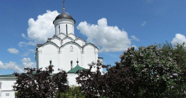 Свято-Успенский Княгинин монастырь