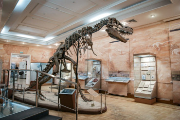 Музей естественной истории Татарстана: Путешествие на 4 миллиарда лет назад