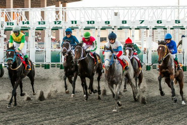 Международный конно-спортивный комплекс «Казань»