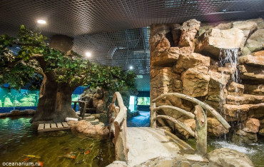 Океанариум Казани: Подводное царство в сердце Поволжья