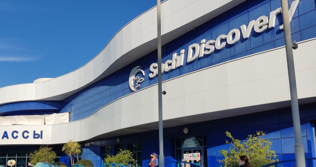 Сочинский океанариум Sochi Discovery World: Подводное сафари в сердце курорта