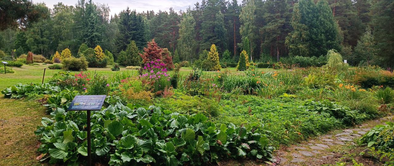 Ботанический сад Петрозаводского Государственного университета