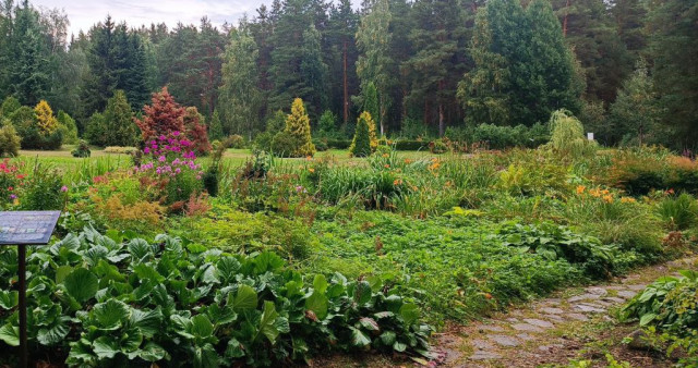 Ботанический сад Петрозаводского Государственного университета