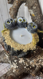 Диво от Иванофъ