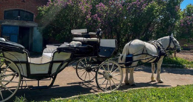 Конный клуб "Ямской двор"