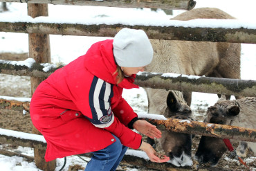 Карельский Экспресс 3. Зимний вояж