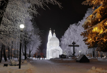 Новый Год в Сосновом бору. Москва - Шуя - Иваново - Гаврилов Посад.