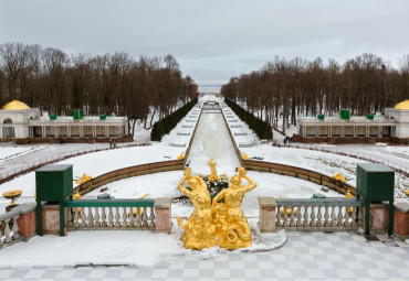 Ёлки в большом городе! Санкт-Петербург - Кронштадт - Петергоф.