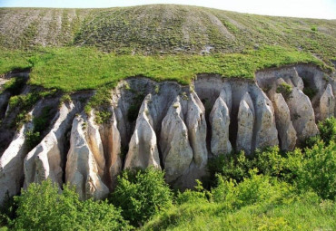 Дивы и дворцы Белогорья. Воронеж - Новоживотинное - Рамонь - Дивногорье - Костомарово - Тамбов.