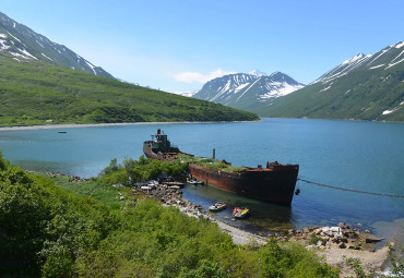 Морской круиз в бухту «Русская» наблюдение за сивучами и касатками. Петропавловск-Камчатский.