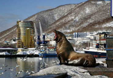 Экскурсия по городу, чайная церемония, дегустация сыров и дикоросов. Петропавловск-Камчатский.