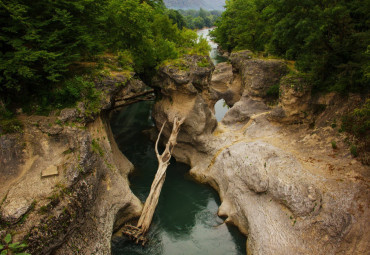 Отдых на море + горы Адыгеи. Устрицы и шампанское (ж/д). Москва - Краснодар - Победа - Майкоп - Геленджик - Дивноморское.