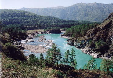 Алтайский берег (экспресс). Горно-Алтайск - Манжерок - Чемал - Барнаул - Новосибирск.